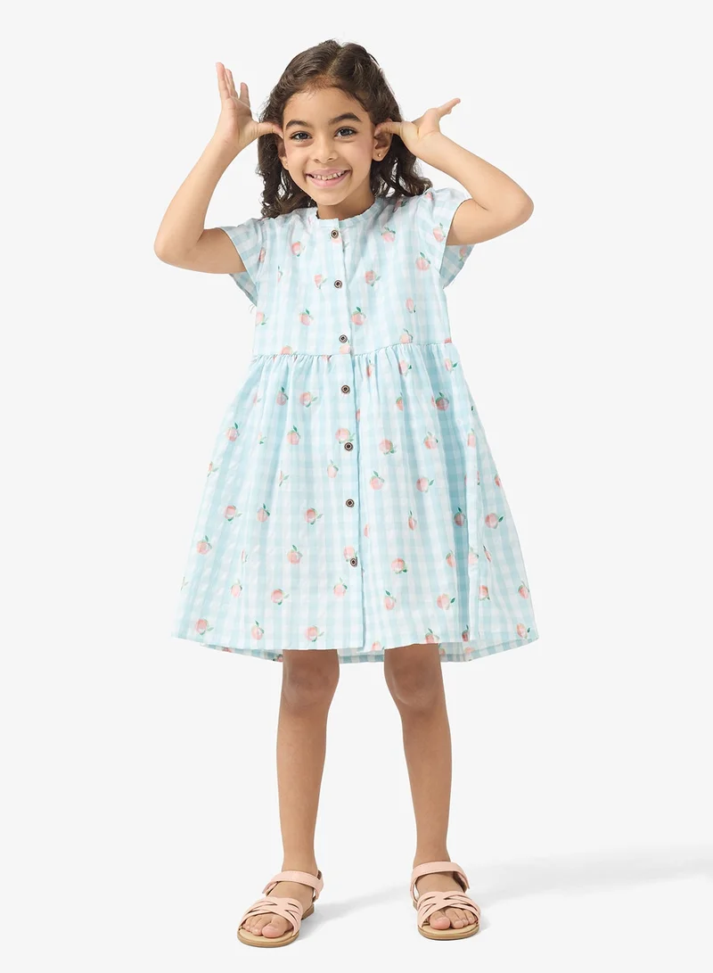 Pinata Blue Printed  Summer Dress